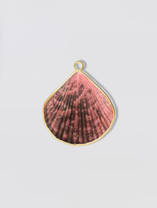 Gold frame shell