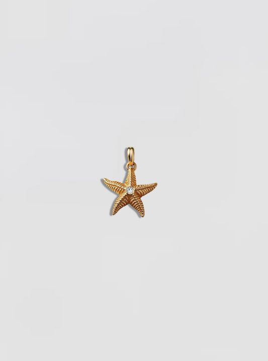 Gold Star Charm