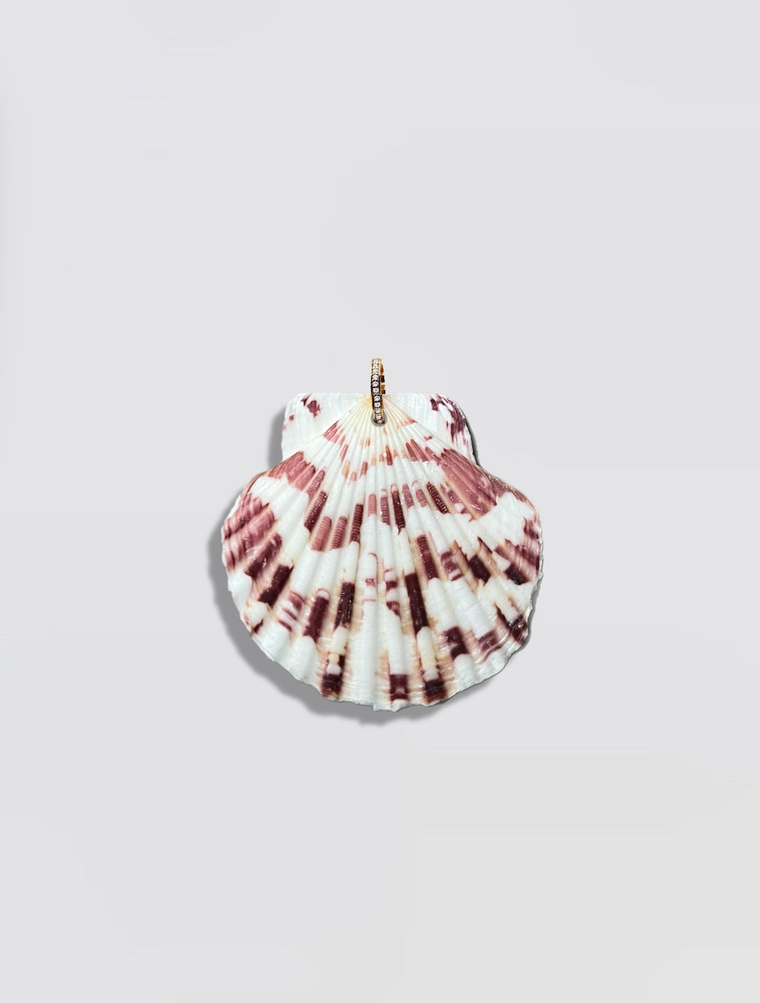 Rose Shell Pendant