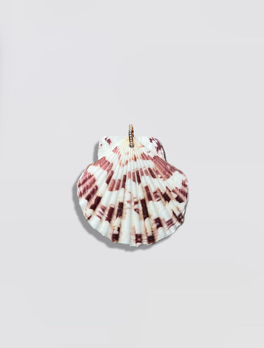 Rose Shell Pendant
